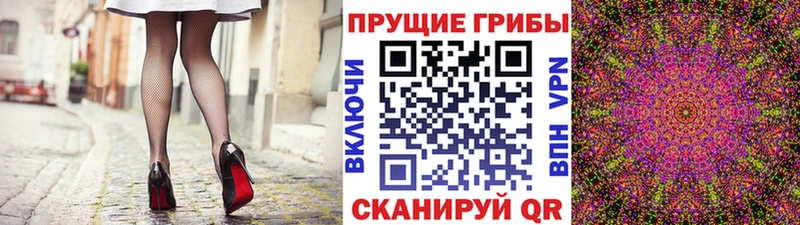 Галлюциногенные грибы Psilocybine cubensis  shop официальный сайт  Новосокольники 